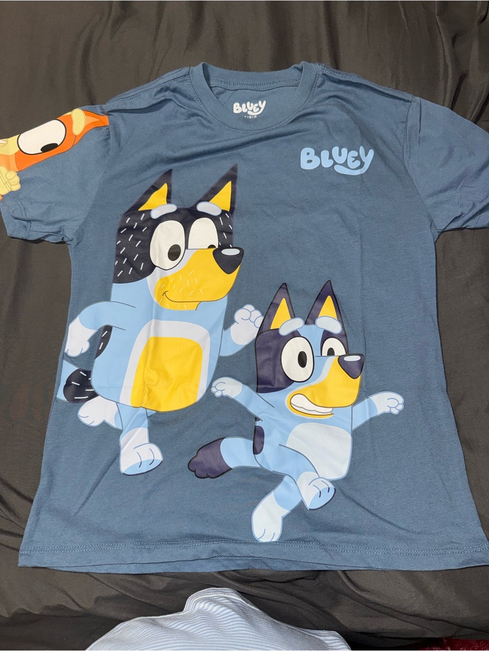 BLUEY Short Sleeve Graphic Tee - Bluey